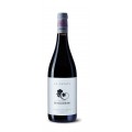 Notarì, Montepulciano Colline Teramane DOCG - Fattoria Nicodemi